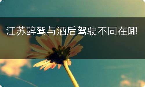 江苏醉驾与酒后驾驶不同在哪