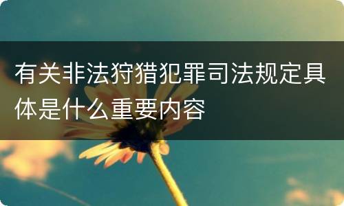 有关非法狩猎犯罪司法规定具体是什么重要内容