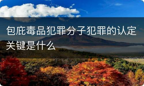 包庇毒品犯罪分子犯罪的认定关键是什么