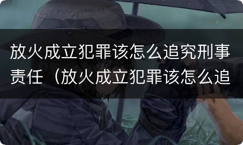 放火成立犯罪该怎么追究刑事责任（放火成立犯罪该怎么追究刑事责任呢）
