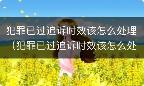 犯罪已过追诉时效该怎么处理（犯罪已过追诉时效该怎么处理呢）