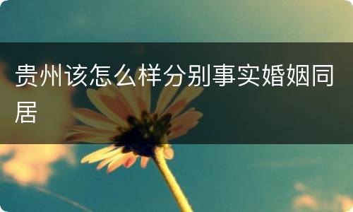 贵州该怎么样分别事实婚姻同居