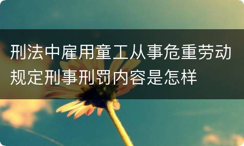 刑法中雇用童工从事危重劳动规定刑事刑罚内容是怎样