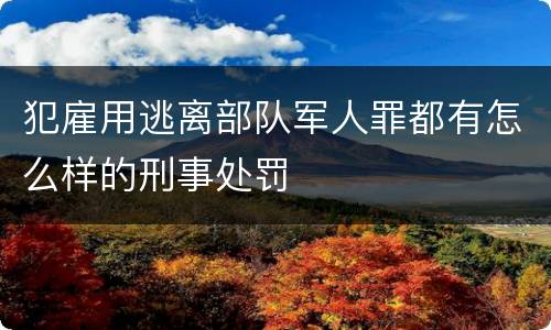 犯雇用逃离部队军人罪都有怎么样的刑事处罚