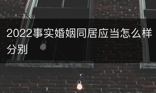 2022事实婚姻同居应当怎么样分别