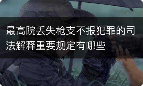 最高院丢失枪支不报犯罪的司法解释重要规定有哪些