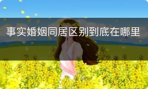 事实婚姻同居区别到底在哪里