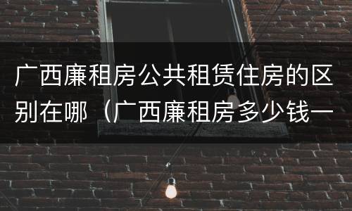 广西廉租房公共租赁住房的区别在哪（广西廉租房多少钱一个月）