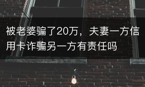 被老婆骗了20万,夫妻一方信用卡诈骗另一方有责任吗