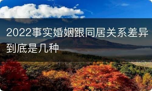 2022事实婚姻跟同居关系差异到底是几种