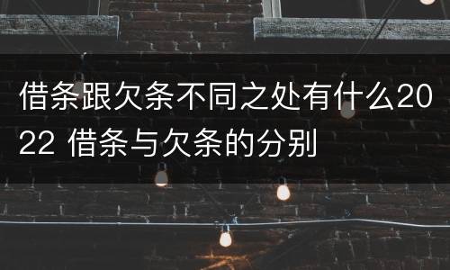借条跟欠条不同之处有什么2022 借条与欠条的分别
