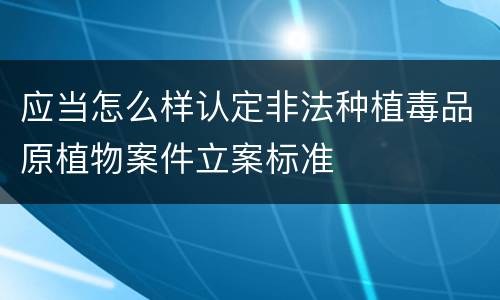 应当怎么样认定非法种植毒品原植物案件立案标准