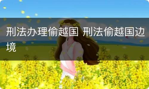 刑法办理偷越国 刑法偷越国边境