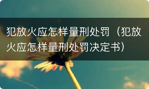 犯放火应怎样量刑处罚（犯放火应怎样量刑处罚决定书）