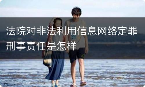 法院对非法利用信息网络定罪刑事责任是怎样