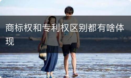 商标权和专利权区别都有啥体现