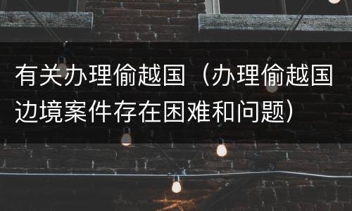有关办理偷越国（办理偷越国边境案件存在困难和问题）