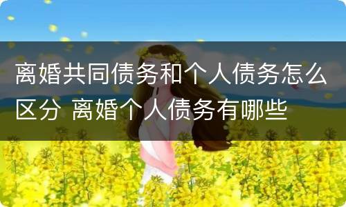 离婚共同债务和个人债务怎么区分 离婚个人债务有哪些