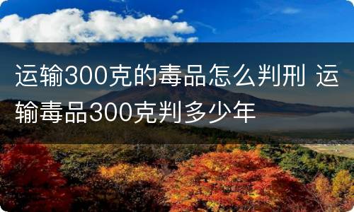 运输300克的毒品怎么判刑 运输毒品300克判多少年