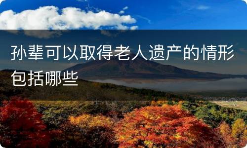 孙辈可以取得老人遗产的情形包括哪些