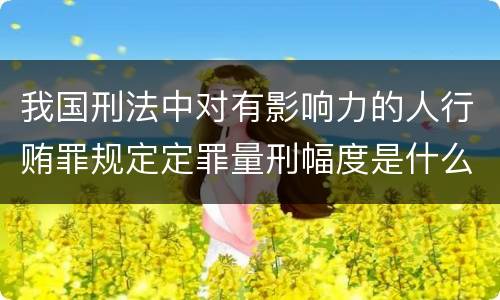 我国刑法中对有影响力的人行贿罪规定定罪量刑幅度是什么