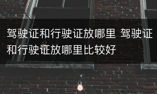 驾驶证和行驶证放哪里 驾驶证和行驶证放哪里比较好