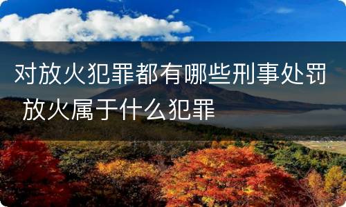 对放火犯罪都有哪些刑事处罚 放火属于什么犯罪