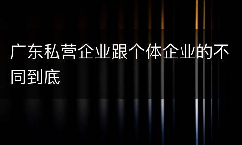 广东私营企业跟个体企业的不同到底