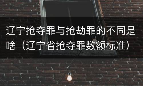 辽宁抢夺罪与抢劫罪的不同是啥（辽宁省抢夺罪数额标准）