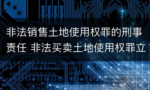 非法销售土地使用权罪的刑事责任 非法买卖土地使用权罪立案标准