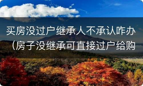 买房没过户继承人不承认咋办（房子没继承可直接过户给购买人吗）