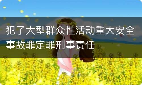 犯了大型群众性活动重大安全事故罪定罪刑事责任