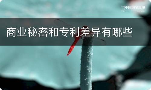 商业秘密和专利差异有哪些