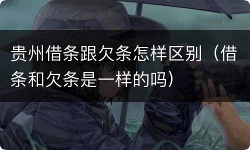 贵州借条跟欠条怎样区别（借条和欠条是一样的吗）
