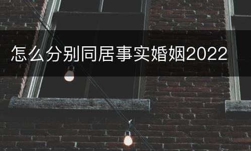 怎么分别同居事实婚姻2022