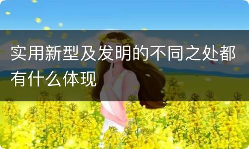 实用新型及发明的不同之处都有什么体现
