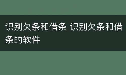 识别欠条和借条 识别欠条和借条的软件
