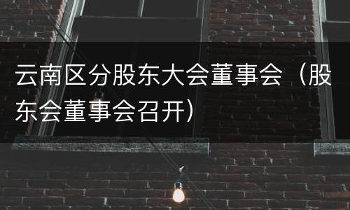 云南区分股东大会董事会（股东会董事会召开）