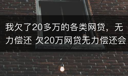我欠了20多万的各类网贷，无力偿还 欠20万网贷无力偿还会怎么样