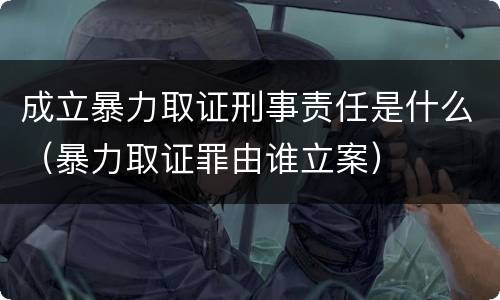 成立暴力取证刑事责任是什么（暴力取证罪由谁立案）