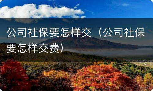 公司社保要怎样交（公司社保要怎样交费）
