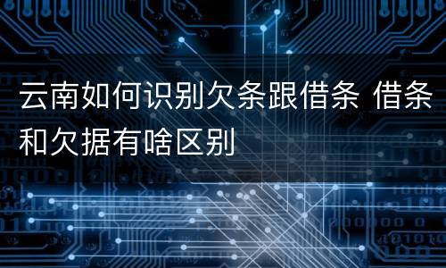 云南如何识别欠条跟借条 借条和欠据有啥区别