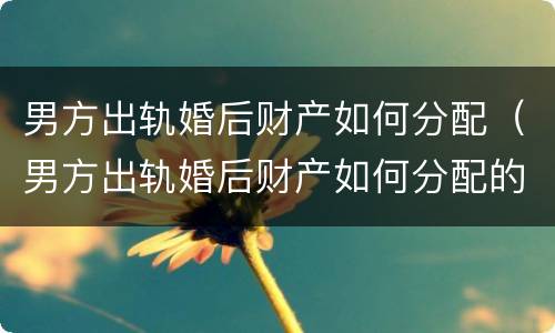男方出轨婚后财产如何分配（男方出轨婚后财产如何分配的）