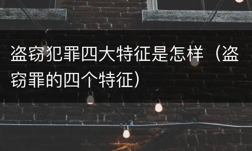 盗窃犯罪四大特征是怎样（盗窃罪的四个特征）