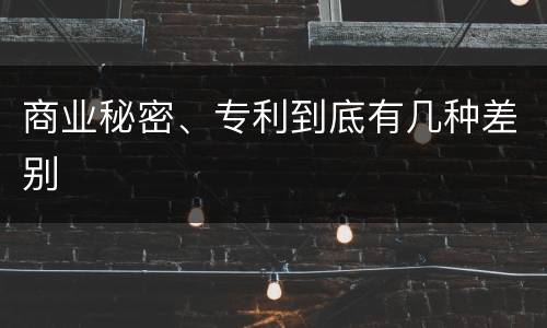 商业秘密、专利到底有几种差别