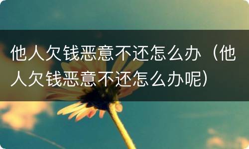他人欠钱恶意不还怎么办（他人欠钱恶意不还怎么办呢）