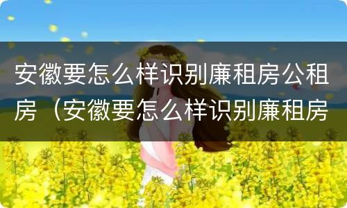 安徽要怎么样识别廉租房公租房（安徽要怎么样识别廉租房公租房呢）