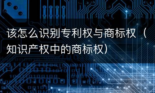 该怎么识别专利权与商标权（知识产权中的商标权）