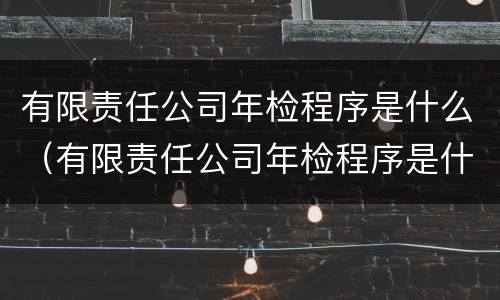 有限责任公司年检程序是什么（有限责任公司年检程序是什么意思）
