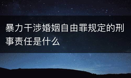 暴力干涉婚姻自由罪规定的刑事责任是什么